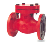 Non Return Valves