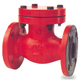 Non Return Valve