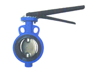 Butterfly Valves