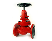 Globe Valves